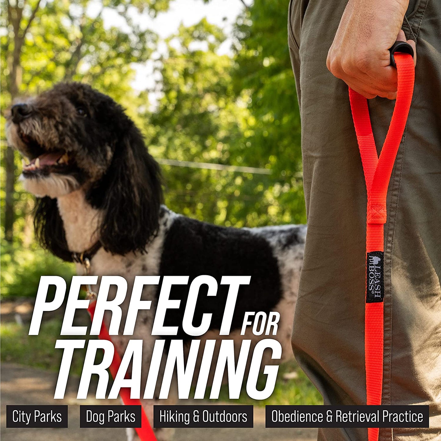 Free Range - Long Dog Leash for Large Dogs + Drawstring Backpack - 1 Inch Nylon Training Lead with Padded Handle (Black) (30 Ft)